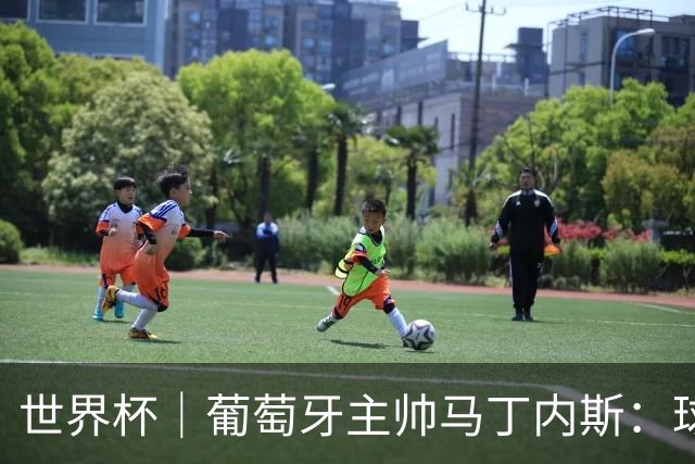 世界杯｜葡萄牙主帅马丁内斯：球队需要进球时换下C罗毫无道理